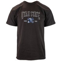 Champion Utah State embroidered brown unisex t-shirt